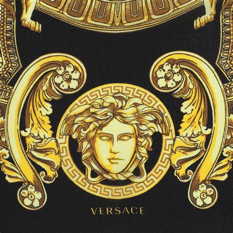 zeichen von versace|versace logo images.